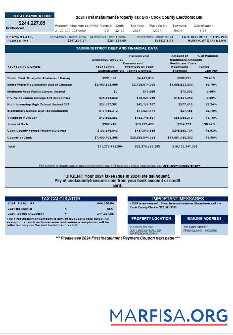 Downloadable USA Cook Country Electronic Bill business utility bill download Word and PDF example download for verification